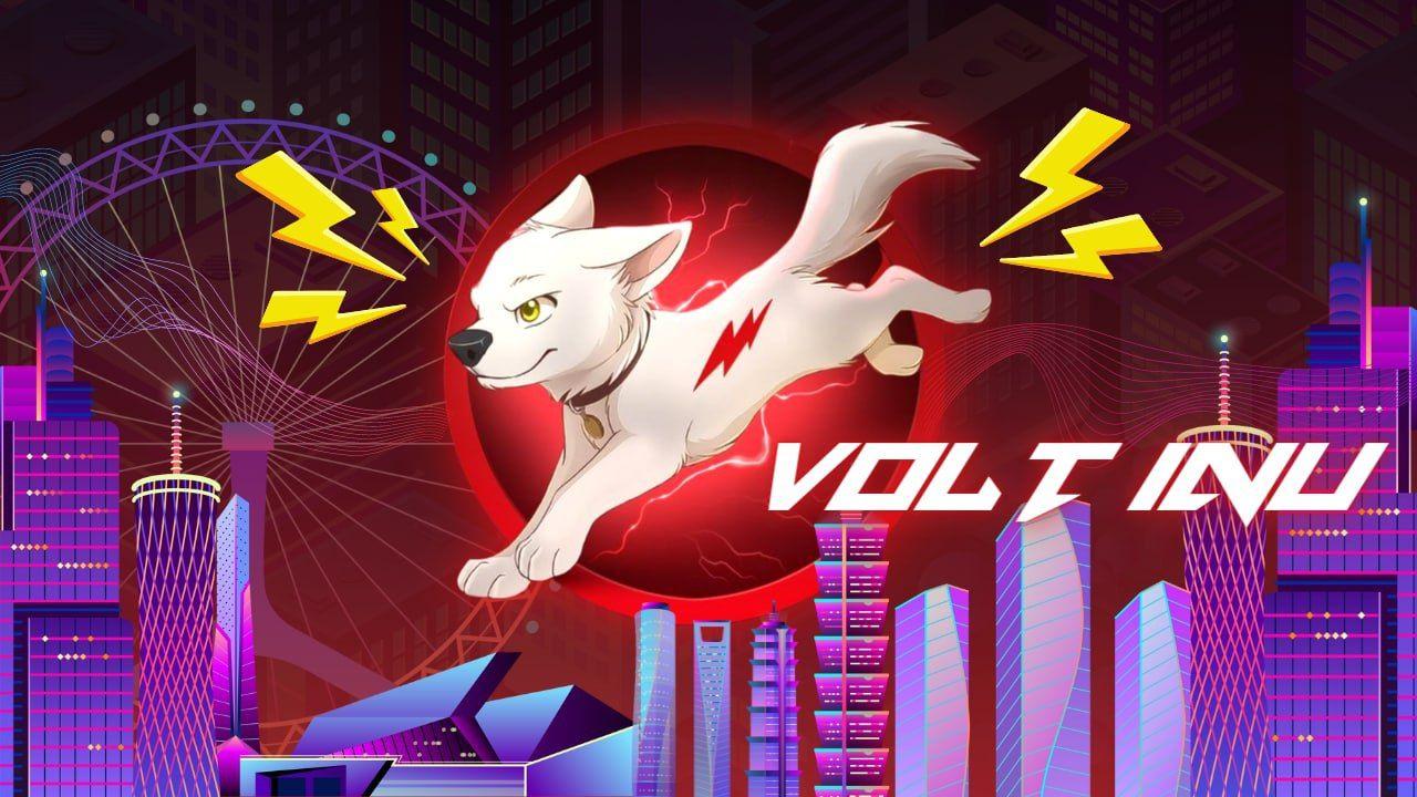 Bsc bridge. Volt Inu logo.