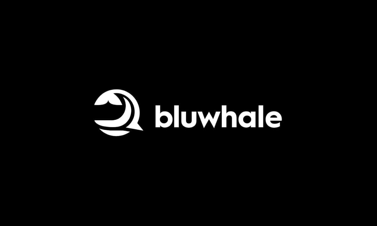 Bluwhale Introduces Stablecoin Agent During Market Volatility - Chainwire
